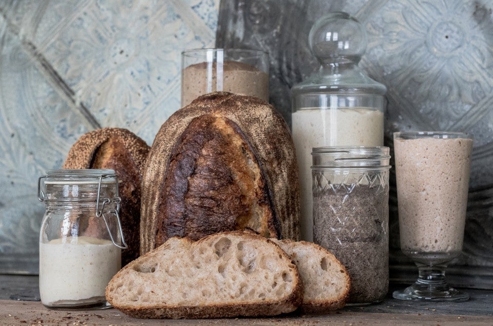 A loaf of bread among several preferments.