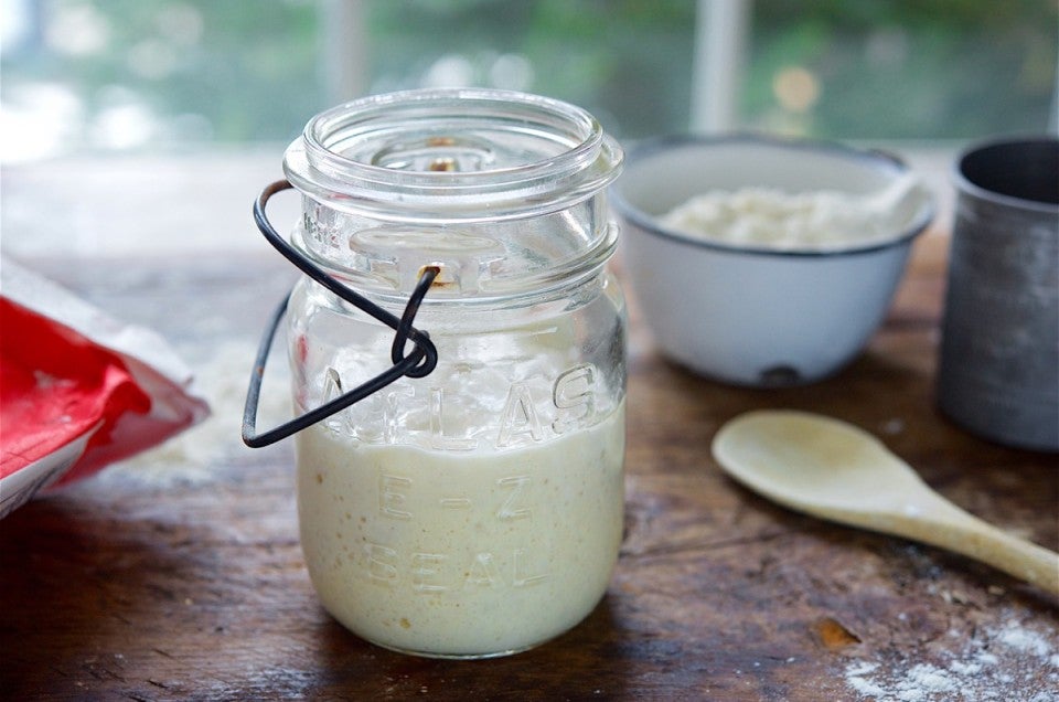Sourdough starter