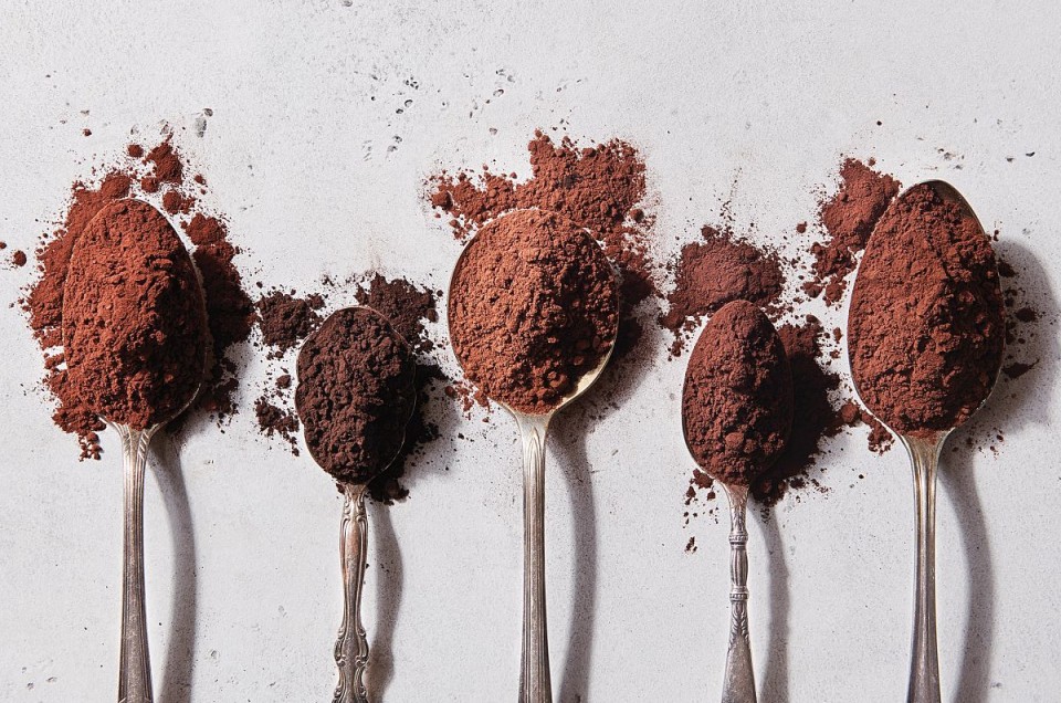Spoonfuls of different cocoa powders lined up next to each other