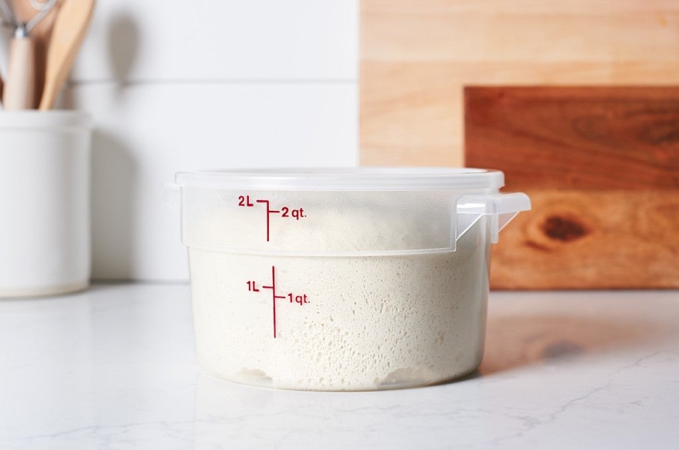 Bread dough proofing in dough rising bucket