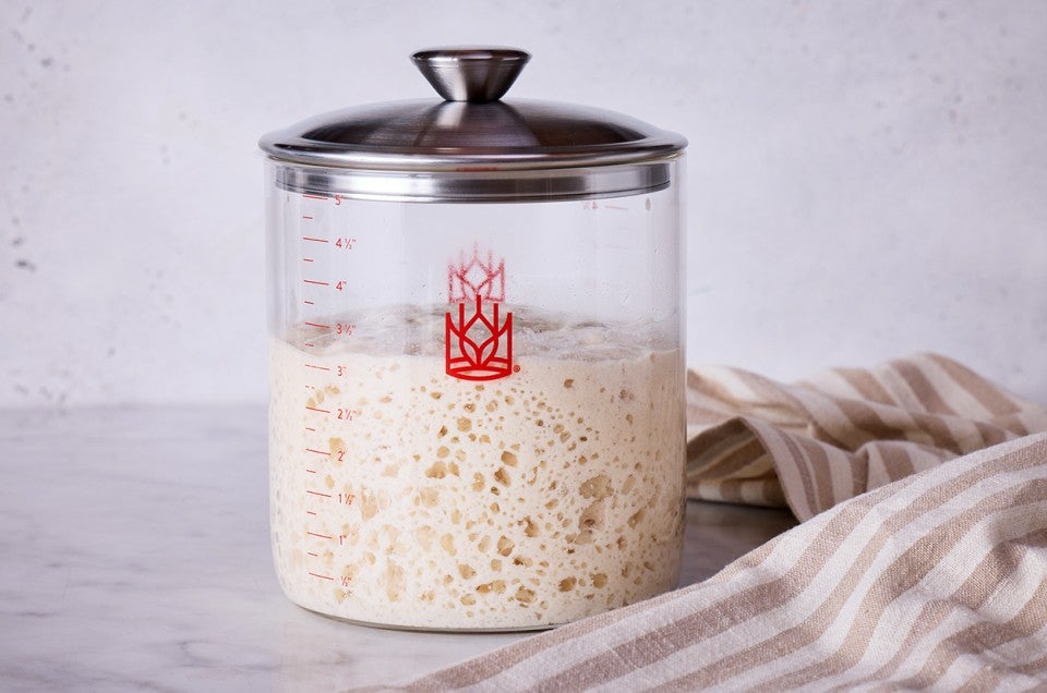 Gluten-Free Sourdough Starter made with Bread Flour Recipe | King