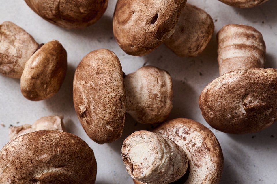 Faux meringue mushrooms showing gorgeous chocolate styling and porcini like visuals. - select to zoom