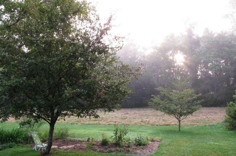 Dawn