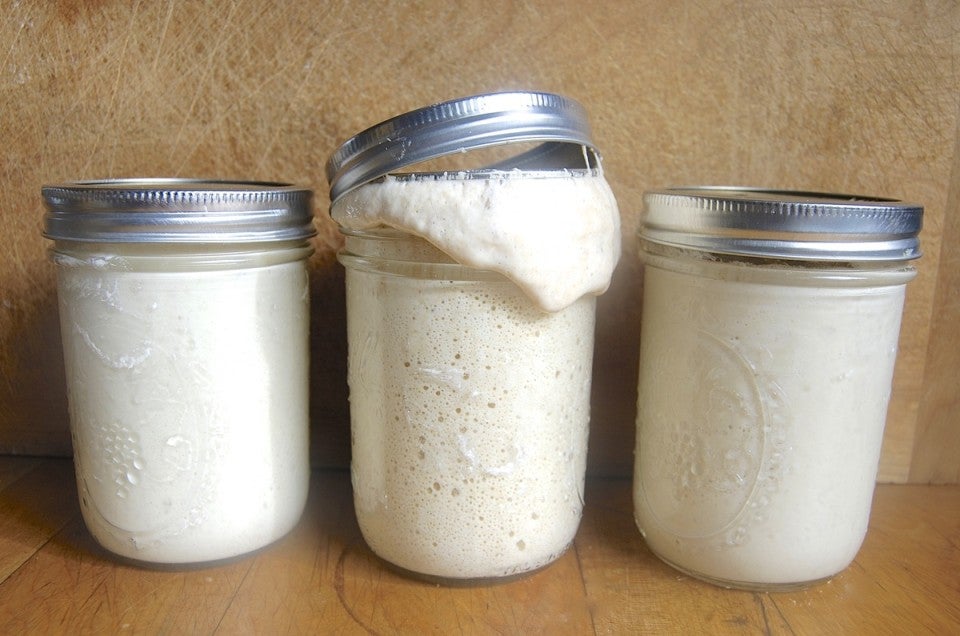 Grape sourdough starter via @kingarthurflour