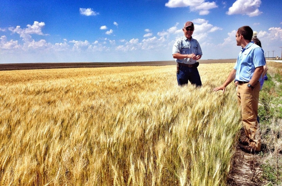 A farmer in the field