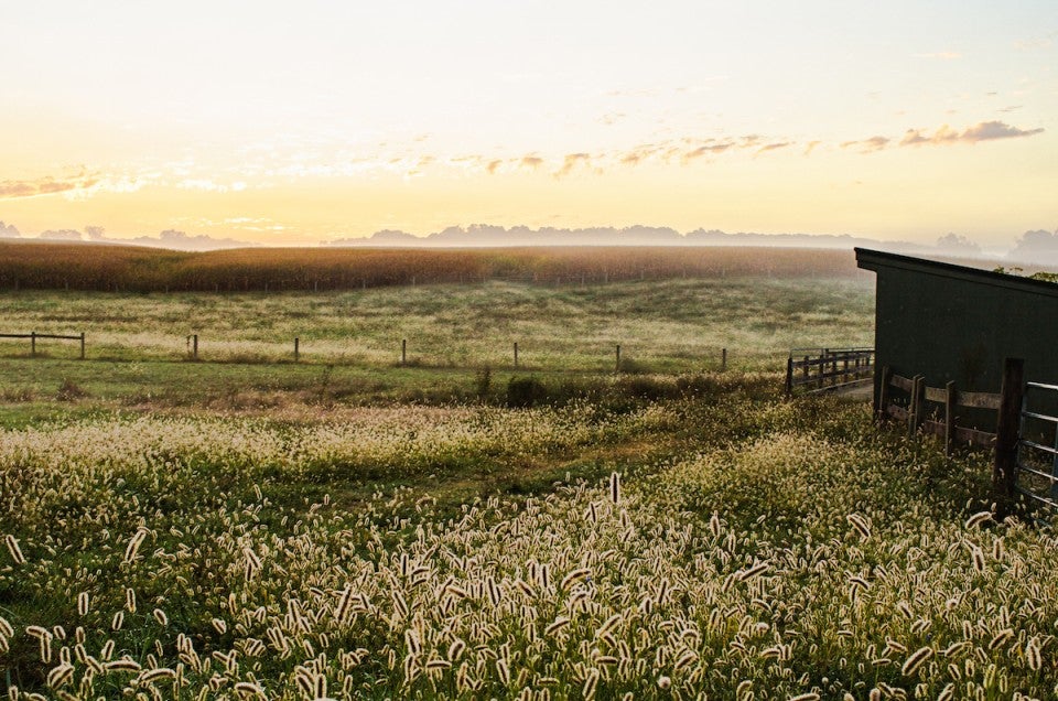 Sift Farm via @kingarthurflour