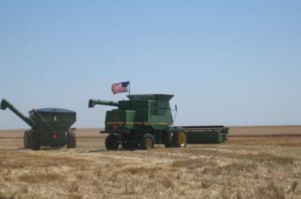kansas-wheat-tour-326_crop