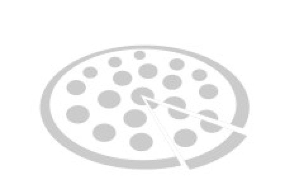 Brick Oven Pizza