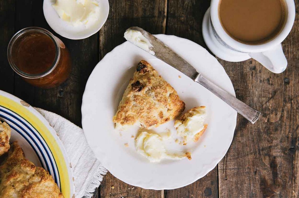 Apricot-Ginger Scones