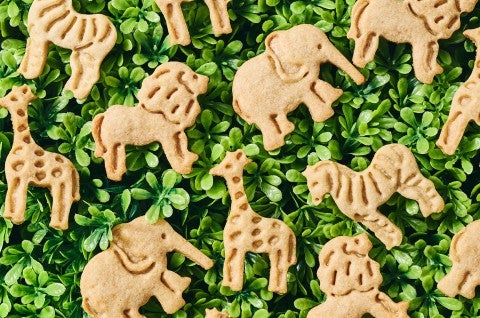 Assorted Animal Cookies in a jungle-like environment - select to zoom