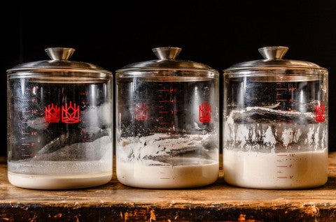 Three crocks of sourdough starter next to each other