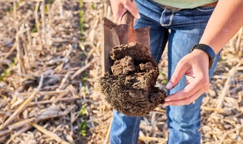 Soil Health