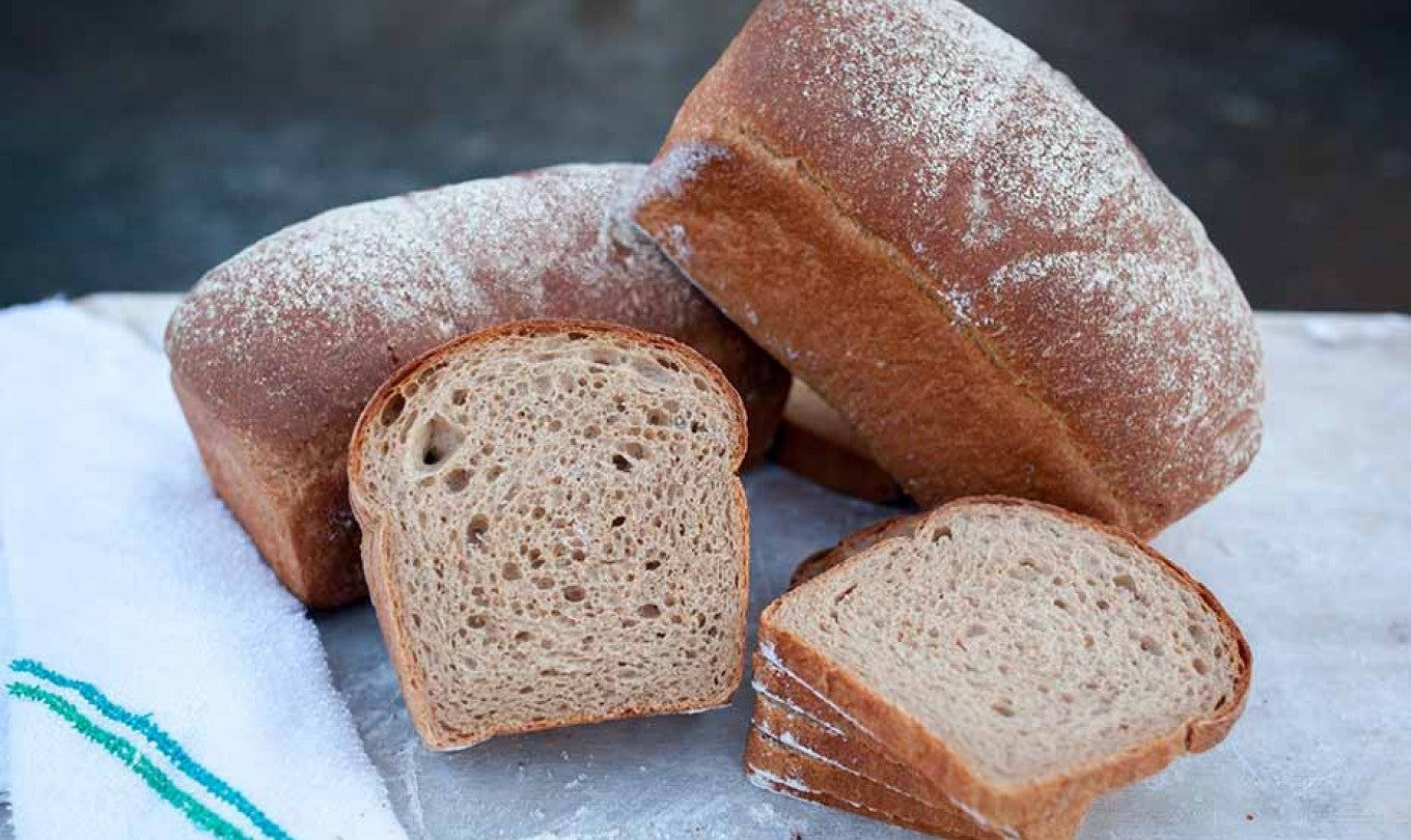 Sprouted Grain Pan Bread