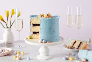 Robin Egg Cake