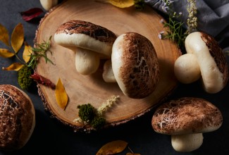 Chocolate Mushroom Buns