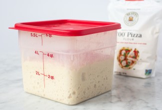 Dough rising in a lidded 6 qt container