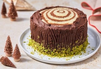 Souche de Noël cake showing a sculpted chocolate frosting to appear as a tree stump with pistachio around the base to mimic moss.