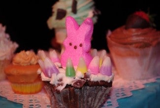 Bunny