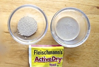 Dissolving active dry yeast via @kingarthurflour