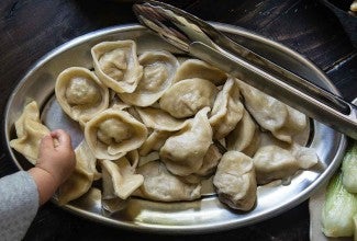 Tofu and Mushroom Dumplings