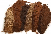 Six different cocoa powders lined up, side by side, highlight their unique shades of brown