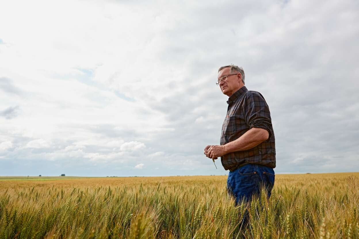 Farmer standing in a wheat field