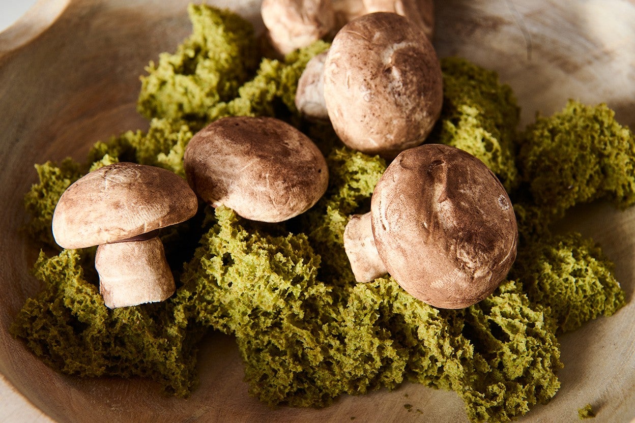 Swiss Meringue made into faux mushrooms in a bowl with matcha moss.