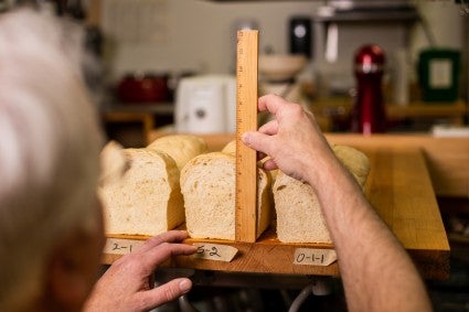 Frank measures loaves of bread in the King Arthur test kitchen