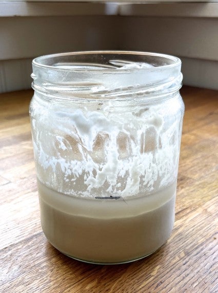 sourdough starter in a jar, hasn't been fed in 2 months