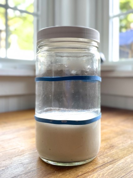 Hungry sourdough starter in a jar, just fed