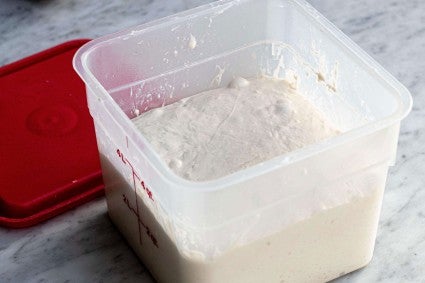 Tub of fermenting dough