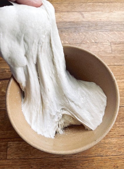 Stretching yeast dough made with sourdough starter up from a bowl.