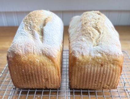 Two loaves of baked sourdough pan bread side by side, shot from the short side, showing comparable rises.