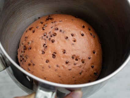 Japanese Chocolate Milk Bread Dough