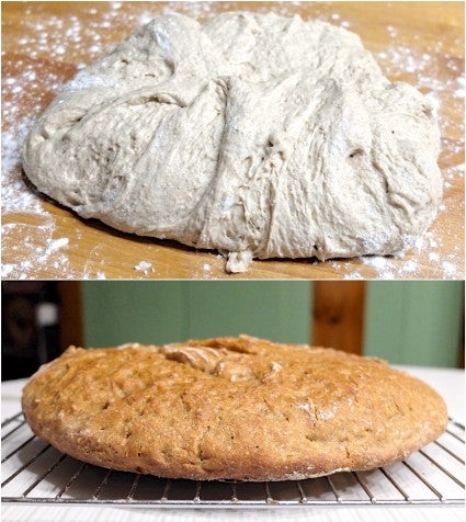 Over-fermented sourdough dough showing how it's starting to shred.