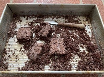 Chocolate cake in a 9" x 13" pan reduced to complete crumbs with a few lame-looking square pieces.