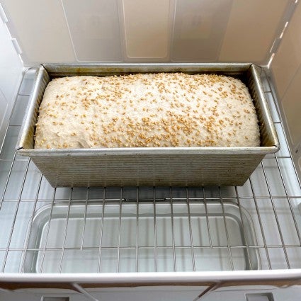 Proofed sandwich loaf in the bread proofer