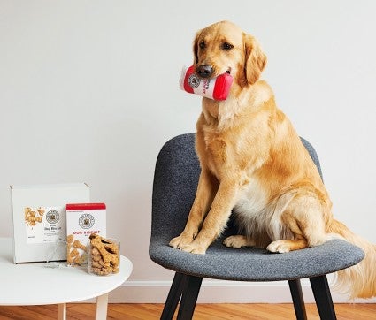 https://www.kingarthurbaking.com/sites/default/files/styles/scaled_small/public/2022-06/How-to-make-dog-treats-3.jpg?itok=FcrgRTgA