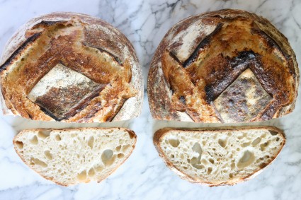 Side-by-side all-purpose vs. bread flour country loaves