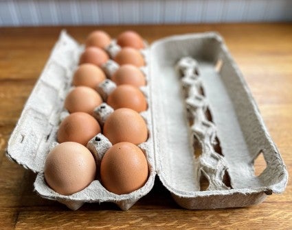 Brown eggs in a cardboard carton