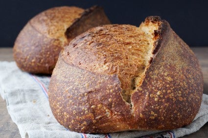 Baked loaves of bread