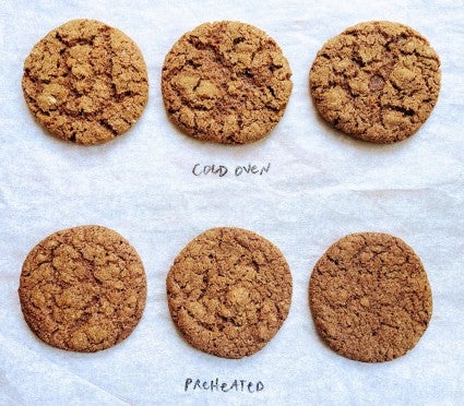 Molasses cookies on parchment showing their nicely fissured tops.