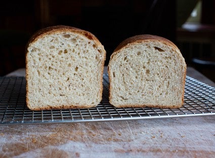 Two loaves, side by side