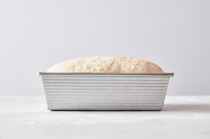 Sandwich loaf dough rising in pan