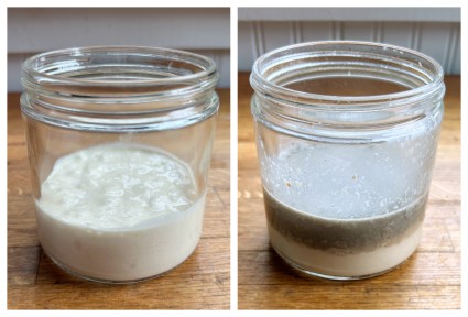 A jar of sourdough starter shown newly fed, and 8 weeks later, with black liquid hooch on top.