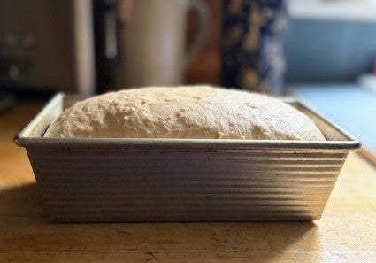 Risen yeast dough in a metal loaf pan, sitting on a sunny counter.