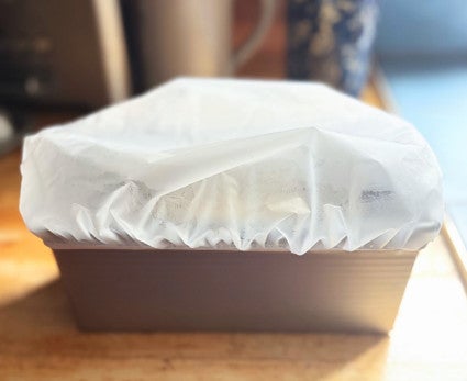 Loaf pan with rising yeast dough, covered with plastic bowl cover, showing plenty of room at the top for dough to rise beyond the pan's rim.