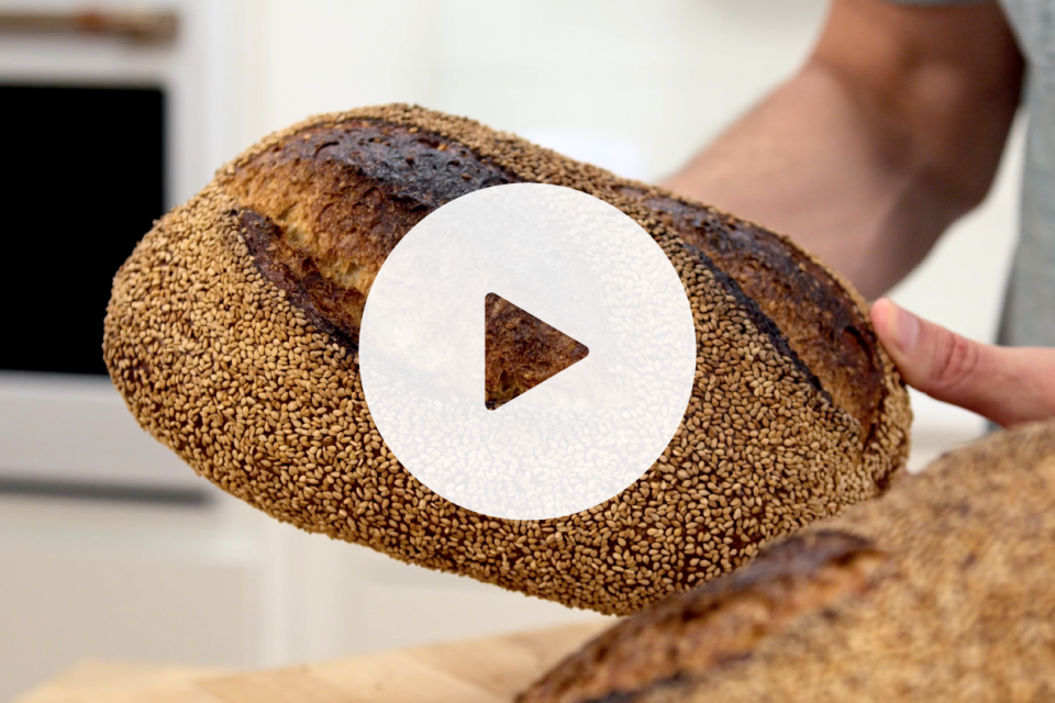 Sesame Wheat