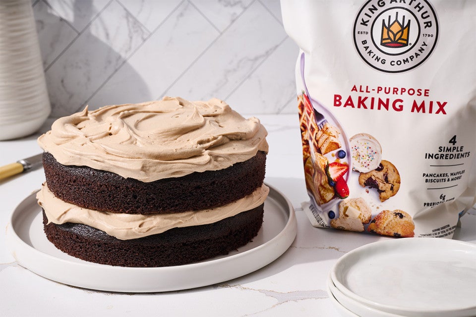 Easy Chocolate Cake made with All-Purpose Baking Mix