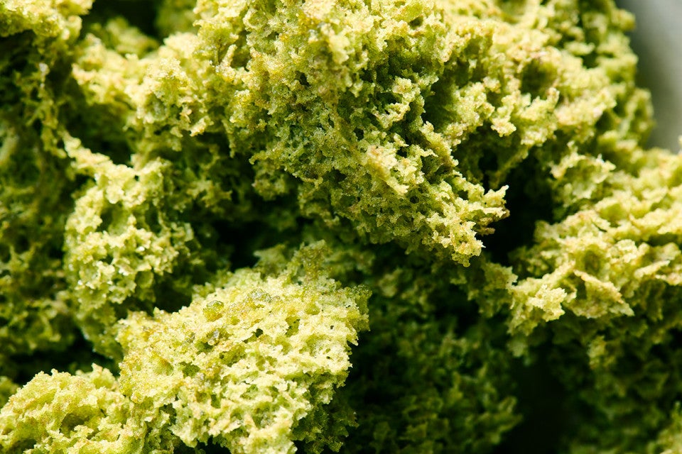 Detail shot of Matcha Moss showing a moss-like texture and beautiful green hues.